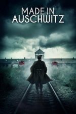 сделано в освенциме нерассказанная история блока номер десять 2019 смотреть онлайн