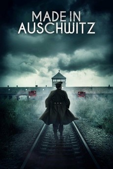 сделано в освенциме нерассказанная история блока номер десять 2019 смотреть онлайн 