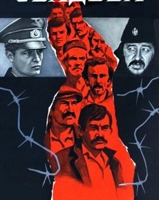 Свадьба (СССР, Югославия, 1973)