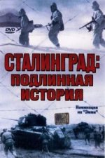 сталинград подлинная история немецкий взгляд 2003 смотреть онлайн